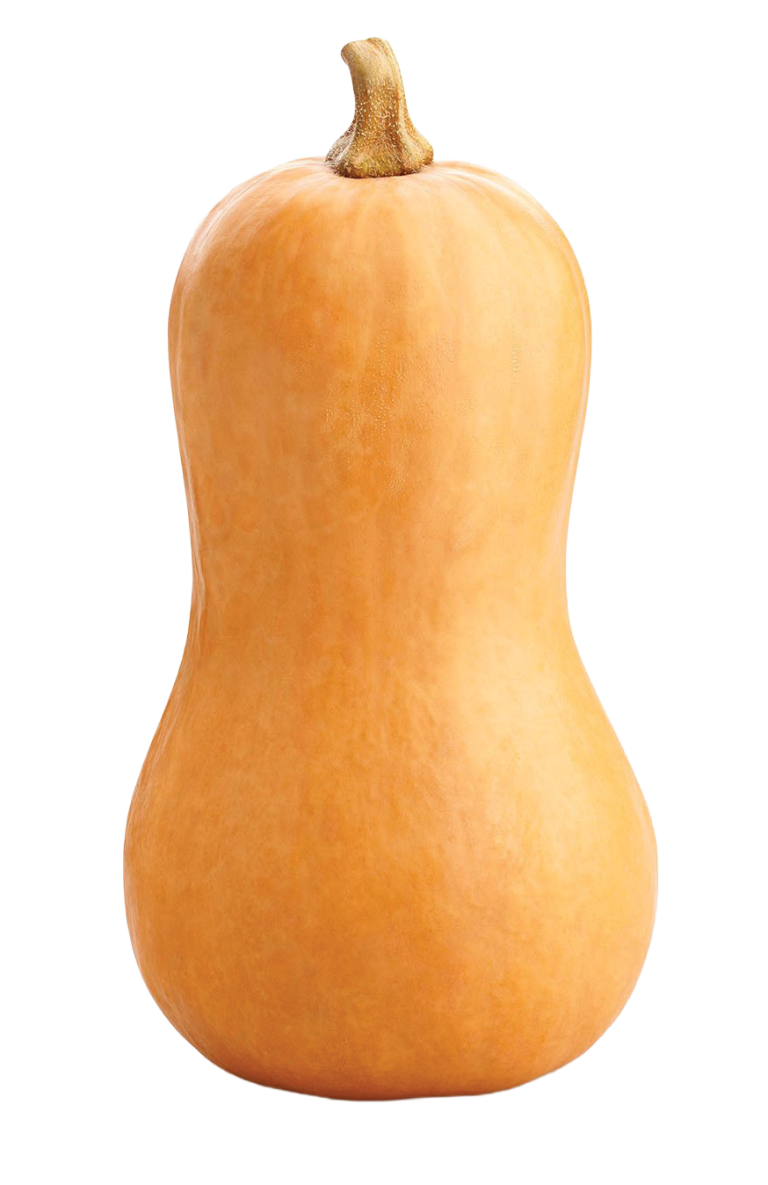 Squash