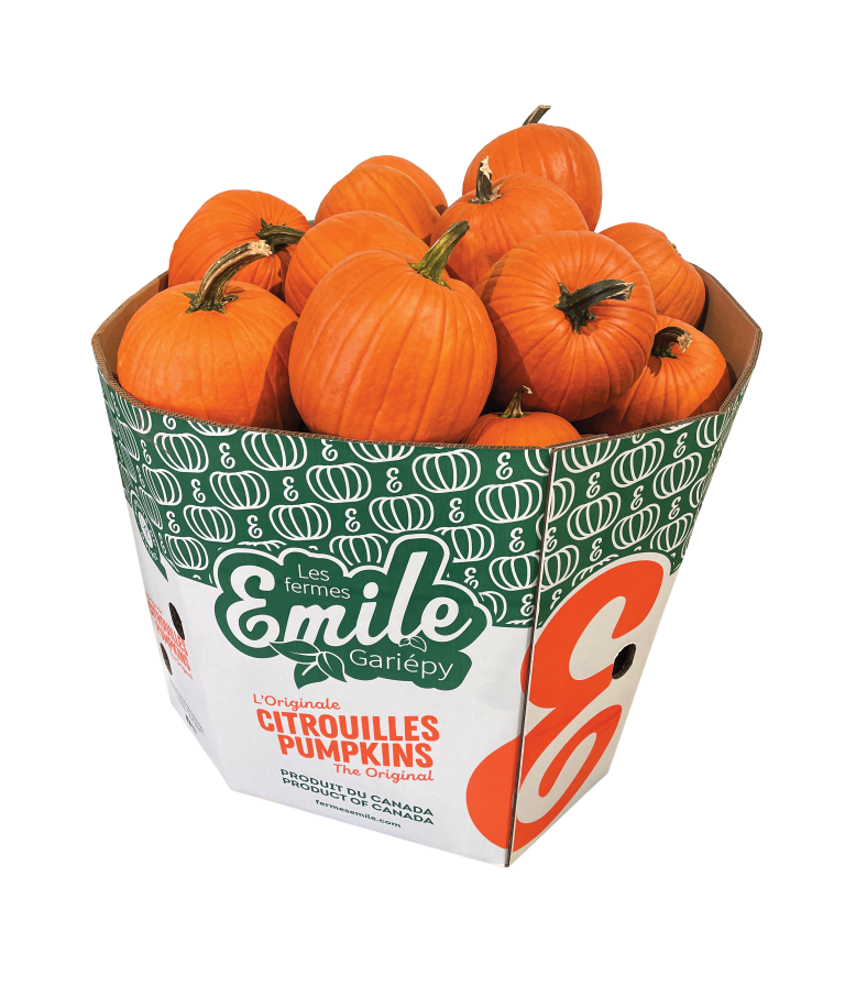 “L’Original” pumpkins